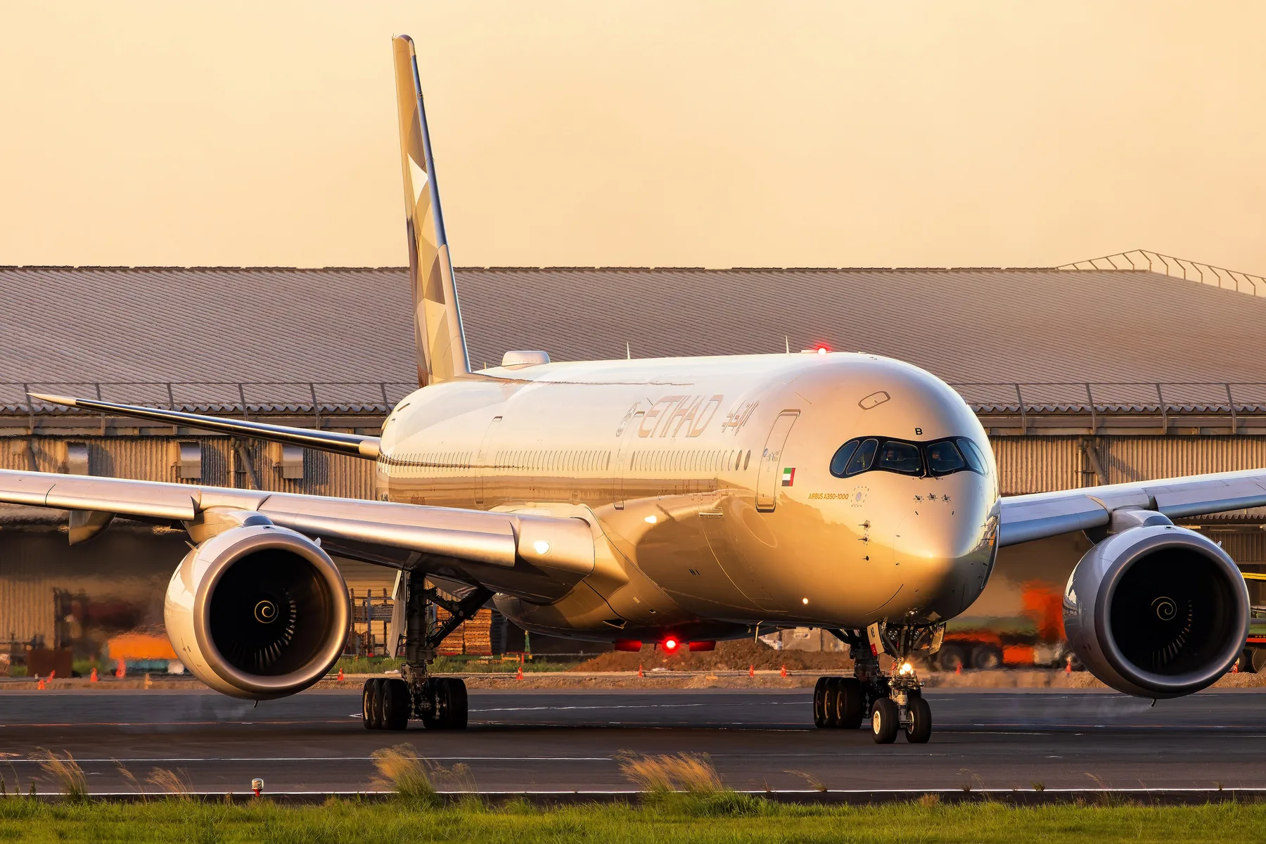 Airbus A350 авиакомпании Etihad в аэропорту Нарита. Фото: Luca Radulescu / Wikimedia Commons, CC BY 4.0